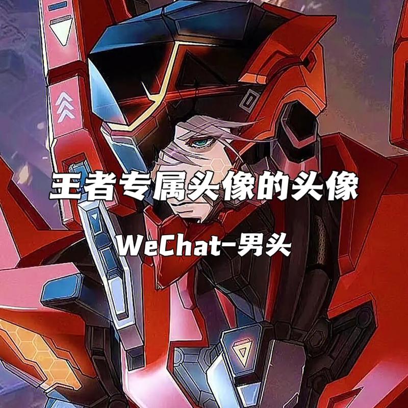 怎么换王者荣耀头像不换微信头像ios(如何在王者换头像微信不换)-第4张图片-无暮网 怎么换王者荣耀头像不换微信头像ios(如何在王者换头像微信不换)-第4张图片-无暮网