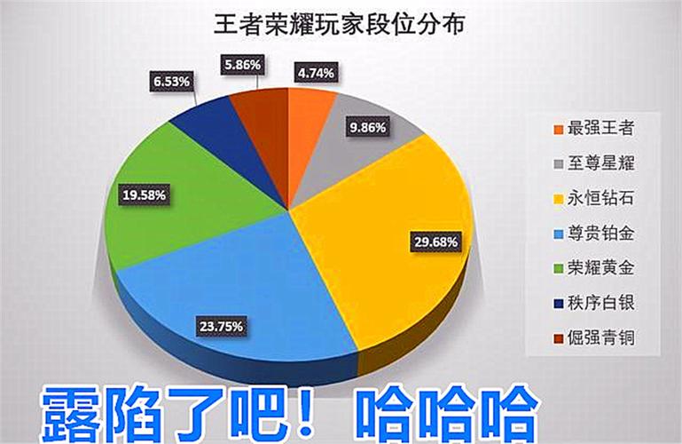 王者大概有多少人玩,王者荣耀大概多少人玩-第3张图片-无暮网 王者大概有多少人玩,王者荣耀大概多少人玩-第3张图片-无暮网