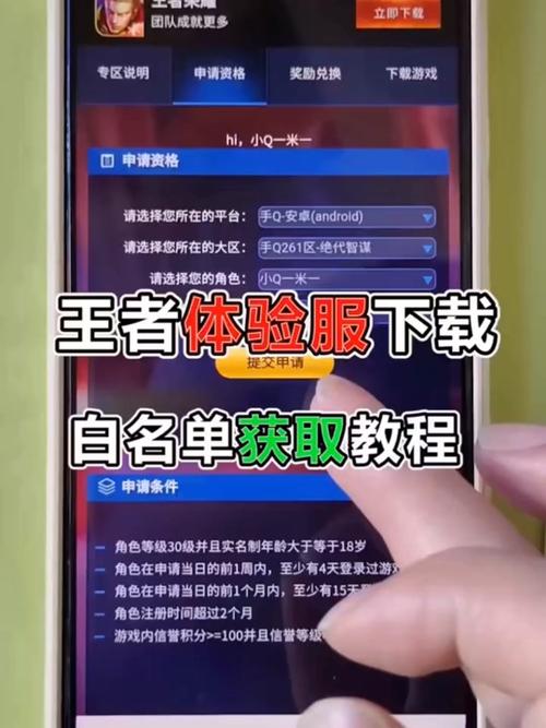 王者荣耀白名单怎么获取金币的,怎么获得王者白名单-第5张图片-无暮网 王者荣耀白名单怎么获取金币的,怎么获得王者白名单-第5张图片-无暮网