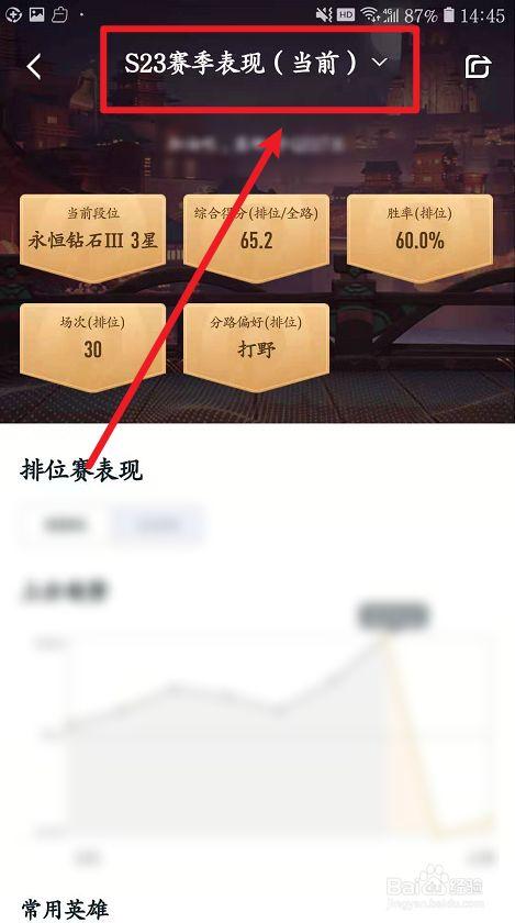 王者升级怎么看战绩记录(王者荣耀游戏中升级怎么看)-第1张图片-无暮网 王者升级怎么看战绩记录(王者荣耀游戏中升级怎么看)-第1张图片-无暮网