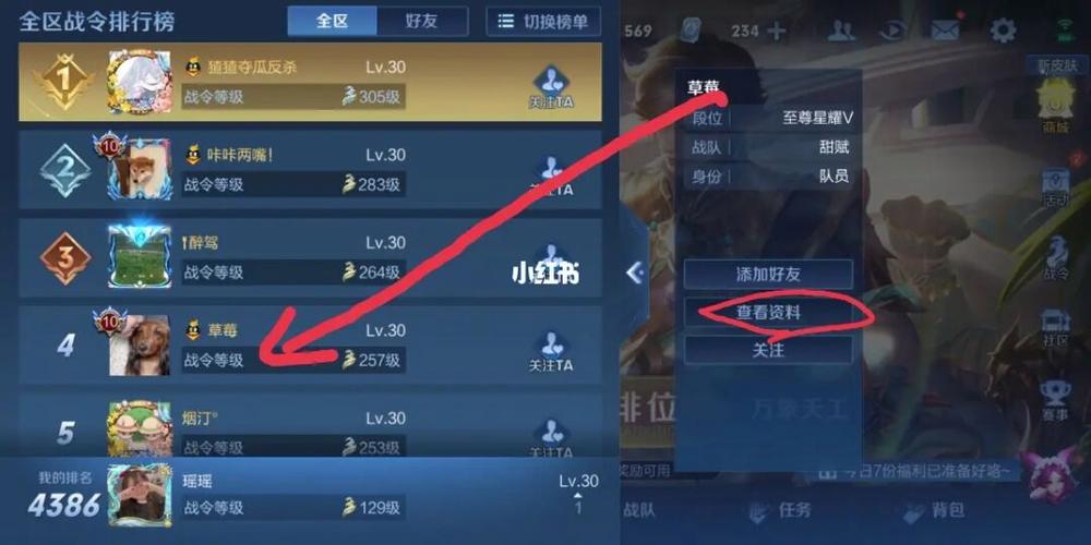 王者荣耀字母可以打几个字啊(王者能用几个字)-第5张图片-无暮网 王者荣耀字母可以打几个字啊(王者能用几个字)-第5张图片-无暮网