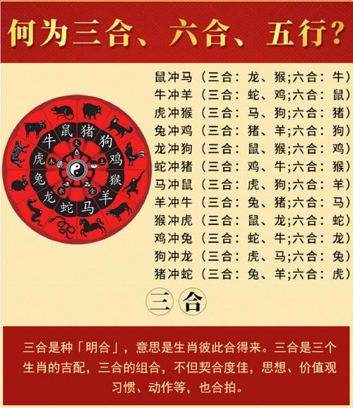 王者至尊是什么生肖啊(至尊王者是什么游戏)-第4张图片-无暮网 王者至尊是什么生肖啊(至尊王者是什么游戏)-第4张图片-无暮网