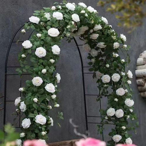 王者荣耀花藤名字可复制,王者荣耀带花藤名字-第4张图片-无暮网 王者荣耀花藤名字可复制,王者荣耀带花藤名字-第4张图片-无暮网
