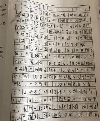 王者荣耀用于写作文,王者荣耀写作文金句