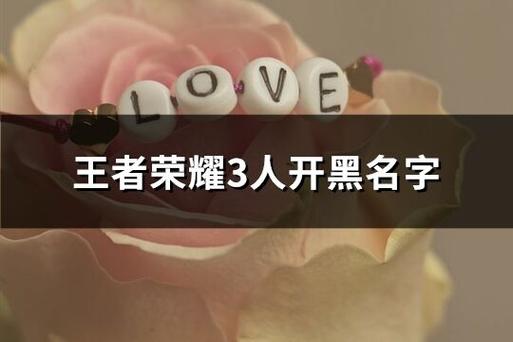 王者荣耀三人开黑名字几乎相符,王者荣耀三个人开黑名字-第3张图片-无暮网 王者荣耀三人开黑名字几乎相符,王者荣耀三个人开黑名字-第3张图片-无暮网