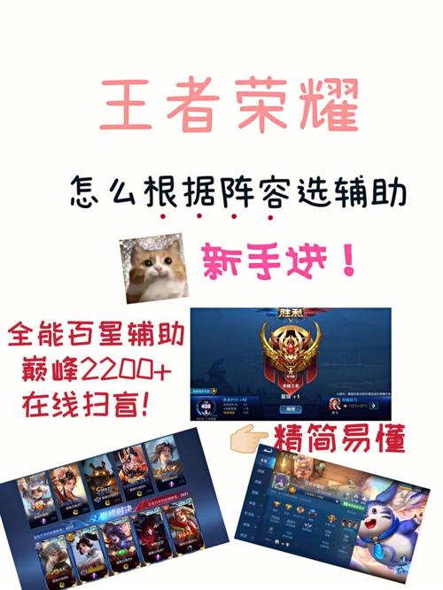 王者辅助怎么看阵容,王者怎么看自己辅助几段-第7张图片-无暮网 王者辅助怎么看阵容,王者怎么看自己辅助几段-第7张图片-无暮网