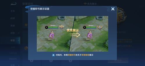 王者荣耀如何显示标?,王者怎样显示标-第5张图片-无暮网 王者荣耀如何显示标?,王者怎样显示标-第5张图片-无暮网