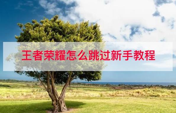 有没有办法退出王者教学模式啊(王者荣耀能退出教学吗)-第6张图片-无暮网 有没有办法退出王者教学模式啊(王者荣耀能退出教学吗)-第6张图片-无暮网