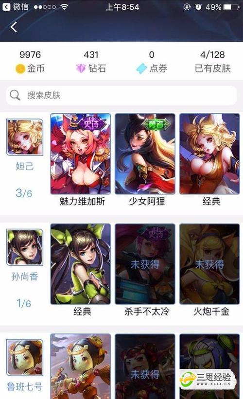 王者的英雄皮肤在哪里看（王者的英雄皮肤在哪里看到）