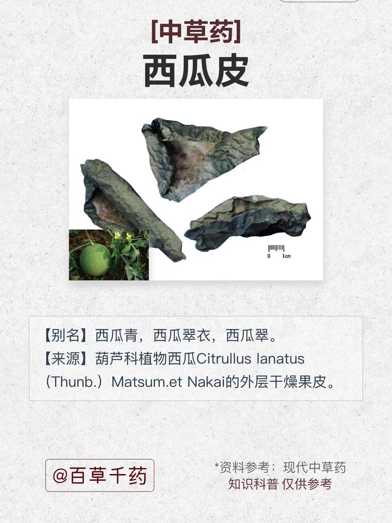 王者无敌吧(王者无敌贴吧)-第4张图片-无暮网 王者无敌吧(王者无敌贴吧)-第4张图片-无暮网