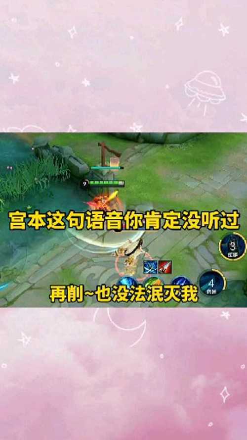 无敌的我王者荣耀台词大全(王者无敌的意思)-第4张图片-无暮网 无敌的我王者荣耀台词大全(王者无敌的意思)-第4张图片-无暮网