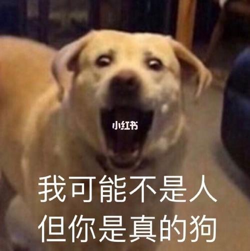 王者孙策台词我像我的狗出自哪里,孙策像英雄联盟的什么-第5张图片-无暮网 王者孙策台词我像我的狗出自哪里,孙策像英雄联盟的什么-第5张图片-无暮网