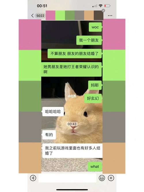 女生玩王者很菜怎么办啊(女生打王者很菜)-第4张图片-无暮网 女生玩王者很菜怎么办啊(女生打王者很菜)-第4张图片-无暮网