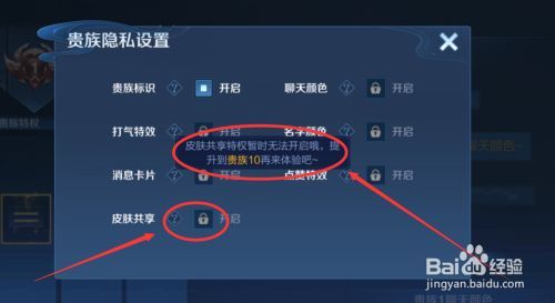 王者荣耀怎么打赏队友皮肤啊,王者荣耀如何打赏金