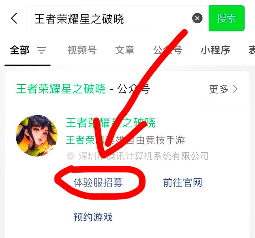 王者荣耀测试白名单用户注册怎么弄的（王者荣耀测试白名单申请）