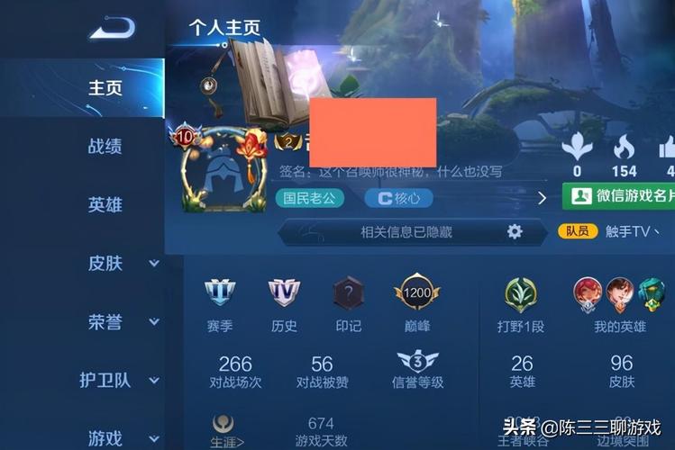 王者荣耀等级说明在哪看(王者等级从哪看)-第5张图片-无暮网 王者荣耀等级说明在哪看(王者等级从哪看)-第5张图片-无暮网