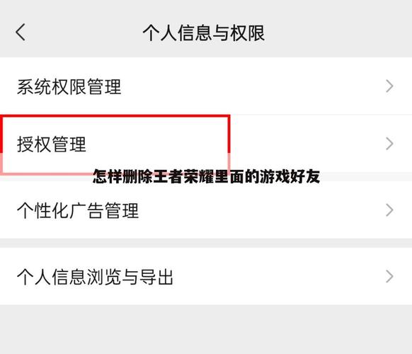 王者荣耀里的游戏好友如何删除掉,王者荣耀游戏好友怎么删除-第5张图片-无暮网 王者荣耀里的游戏好友如何删除掉,王者荣耀游戏好友怎么删除-第5张图片-无暮网