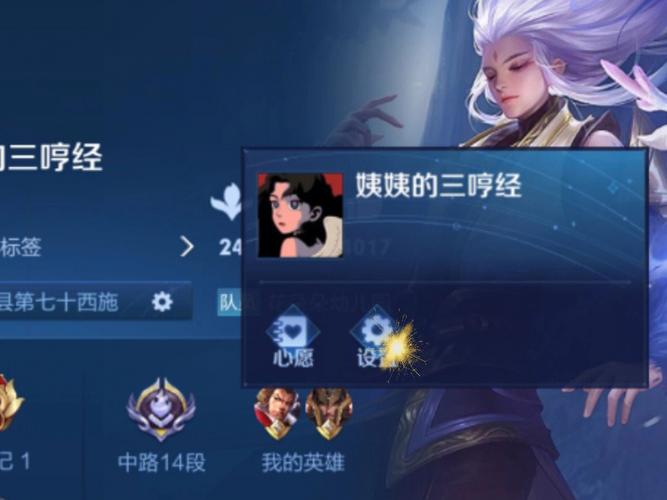 王者荣耀微信如何隐藏个人信息（王者荣耀微信如何隐藏个人信息显示）
