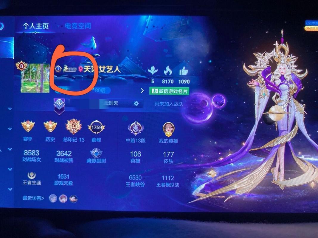 王者里名字旁边的数字是什么意思,王者名字边上的数字是干嘛的-第4张图片-无暮网 王者里名字旁边的数字是什么意思,王者名字边上的数字是干嘛的-第4张图片-无暮网