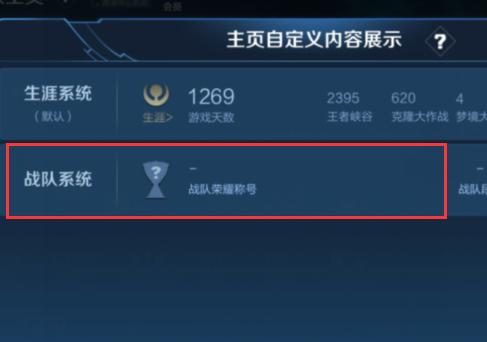 王者荣耀游戏内怎么显示战队(王者荣耀游戏内怎么显示战队名称)-第5张图片-无暮网 王者荣耀游戏内怎么显示战队(王者荣耀游戏内怎么显示战队名称)-第5张图片-无暮网