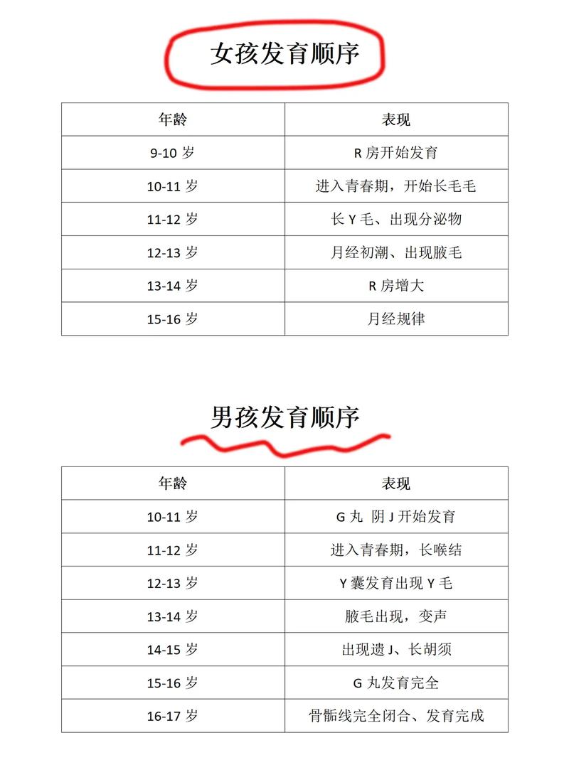 王者发育路几段怎么显示出来(王者发育路段位怎么显示)-第4张图片-无暮网 王者发育路几段怎么显示出来(王者发育路段位怎么显示)-第4张图片-无暮网