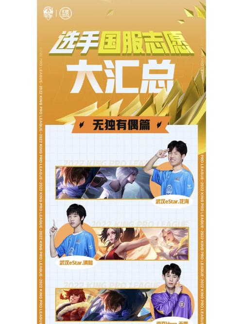 王者职业选手最强是谁,王者荣耀职业选手最强的是谁-第3张图片-无暮网 王者职业选手最强是谁,王者荣耀职业选手最强的是谁-第3张图片-无暮网