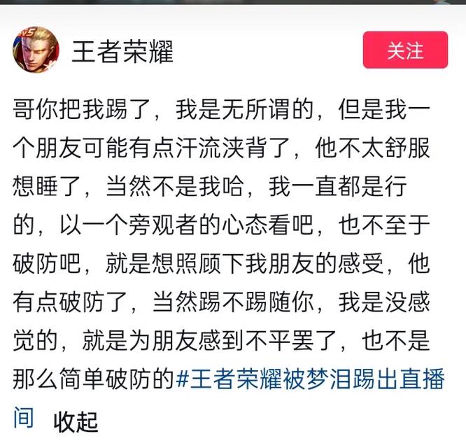 王者荣耀热度比较高英雄是什么意思(王者荣耀热度比较高的英雄)-第6张图片-无暮网 王者荣耀热度比较高英雄是什么意思(王者荣耀热度比较高的英雄)-第6张图片-无暮网