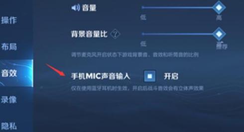 王者荣耀里怎么开语音聊天（王者荣耀里怎么开语音聊天功能）