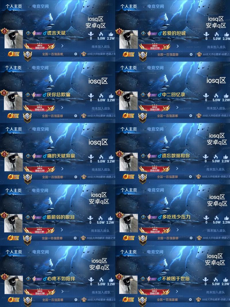 王者ld在哪里找,王者id在哪里找到-第2张图片-无暮网 王者ld在哪里找,王者id在哪里找到-第2张图片-无暮网