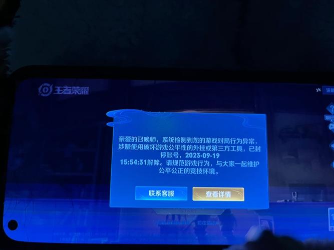 王者荣耀申诉有人成功过吗,王者荣耀申诉有人成功过吗怎么办-第7张图片-无暮网 王者荣耀申诉有人成功过吗,王者荣耀申诉有人成功过吗怎么办-第7张图片-无暮网