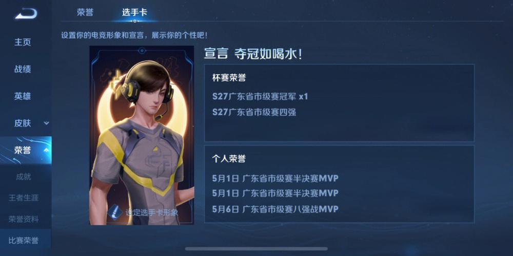 王者什么是赛季认证选手,赛季什么意思啊