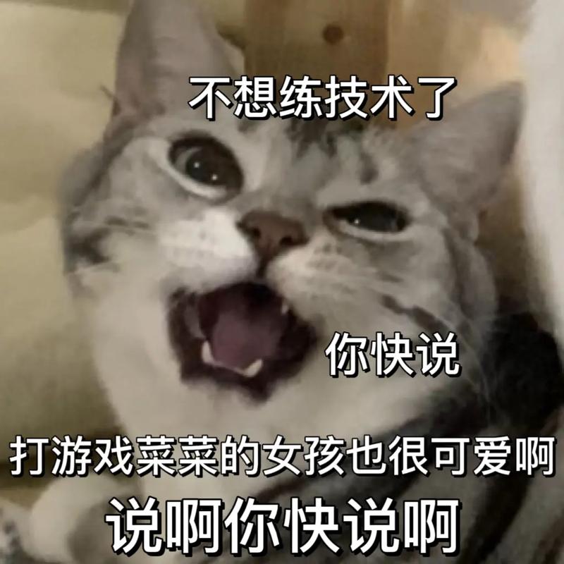 打王者菜的人怎么称呼他,玩王者菜的说自己菜的说说-第3张图片-无暮网 打王者菜的人怎么称呼他,玩王者菜的说自己菜的说说-第3张图片-无暮网