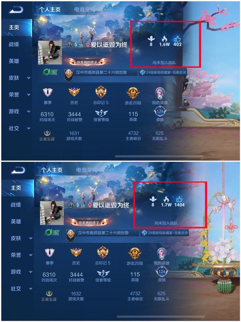 如何查看王者荣耀战绩点赞的人是谁,王者荣耀怎么看对局点赞记录-第1张图片-无暮网 如何查看王者荣耀战绩点赞的人是谁,王者荣耀怎么看对局点赞记录-第1张图片-无暮网