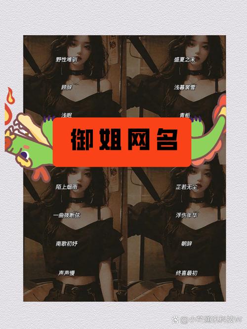 御姐范的王者名字大全（御姐一点的王者名字）-第7张图片-无暮网