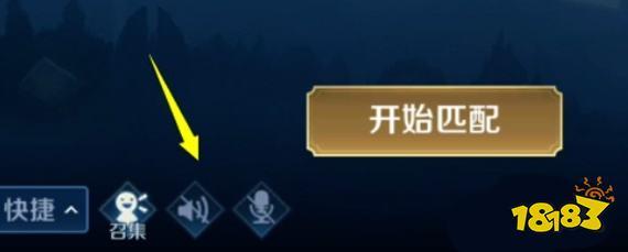 王者荣耀语音显示不出来（王者荣耀语音显示不出来怎么设置）-第7张图片-无暮网