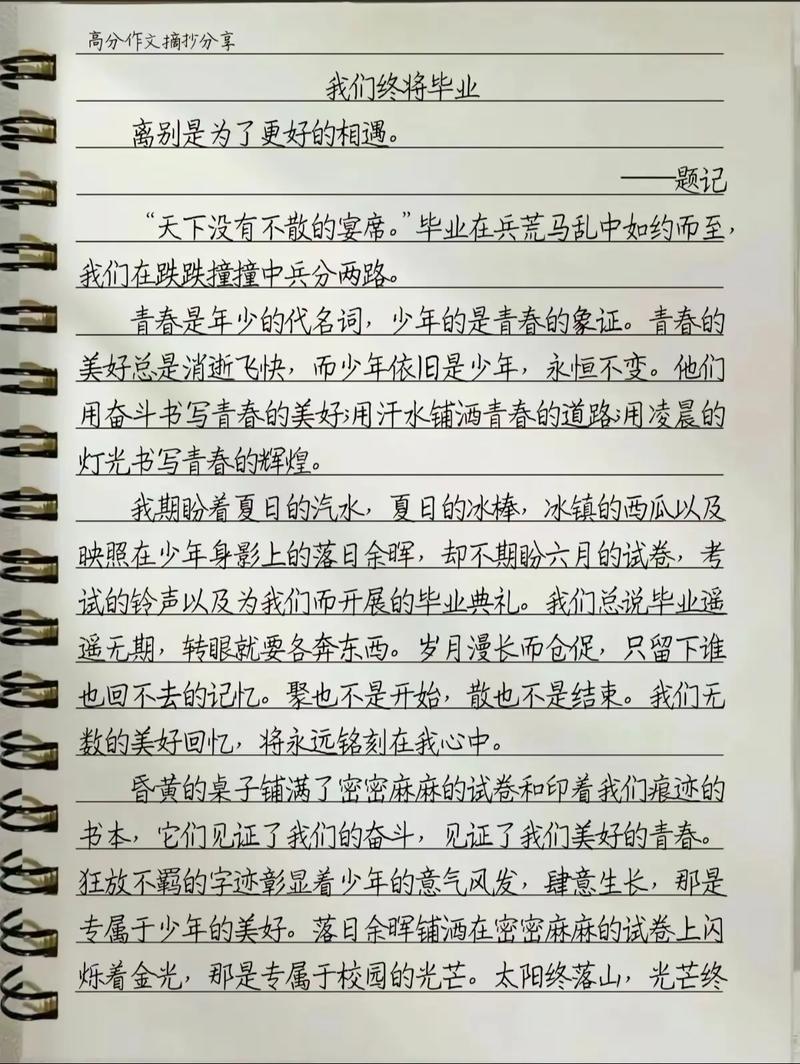 打王者的心得体会300字怎么写（玩王者的心得体会）-第8张图片-无暮网