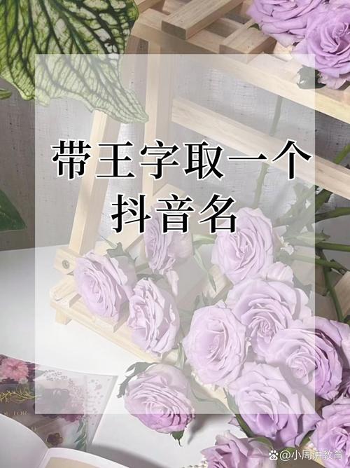 王者游戏一个字的名字女生（王者游戏一个字的名字女生可爱）-第4张图片-无暮网