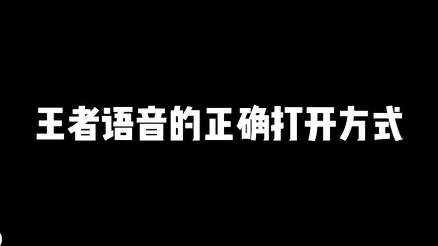 玩王者打电话对方听不到我说话（玩王者荣耀打电话）-第1张图片-无暮网