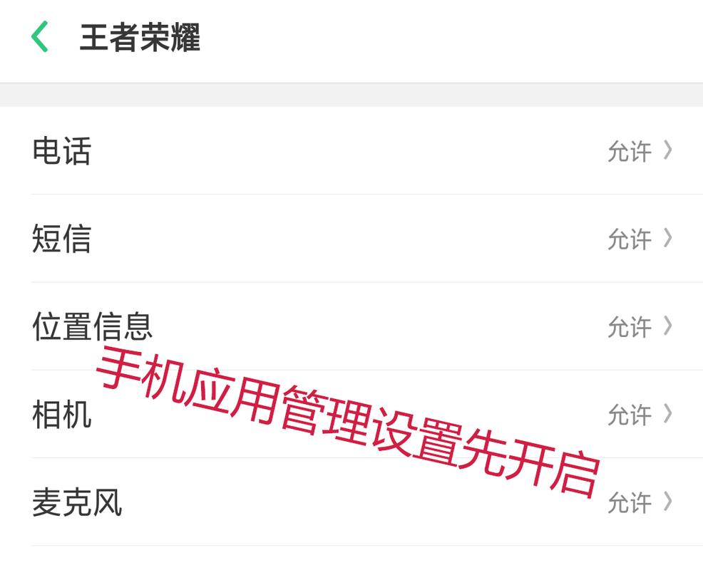 玩王者打电话对方听不到我说话（玩王者荣耀打电话）-第3张图片-无暮网