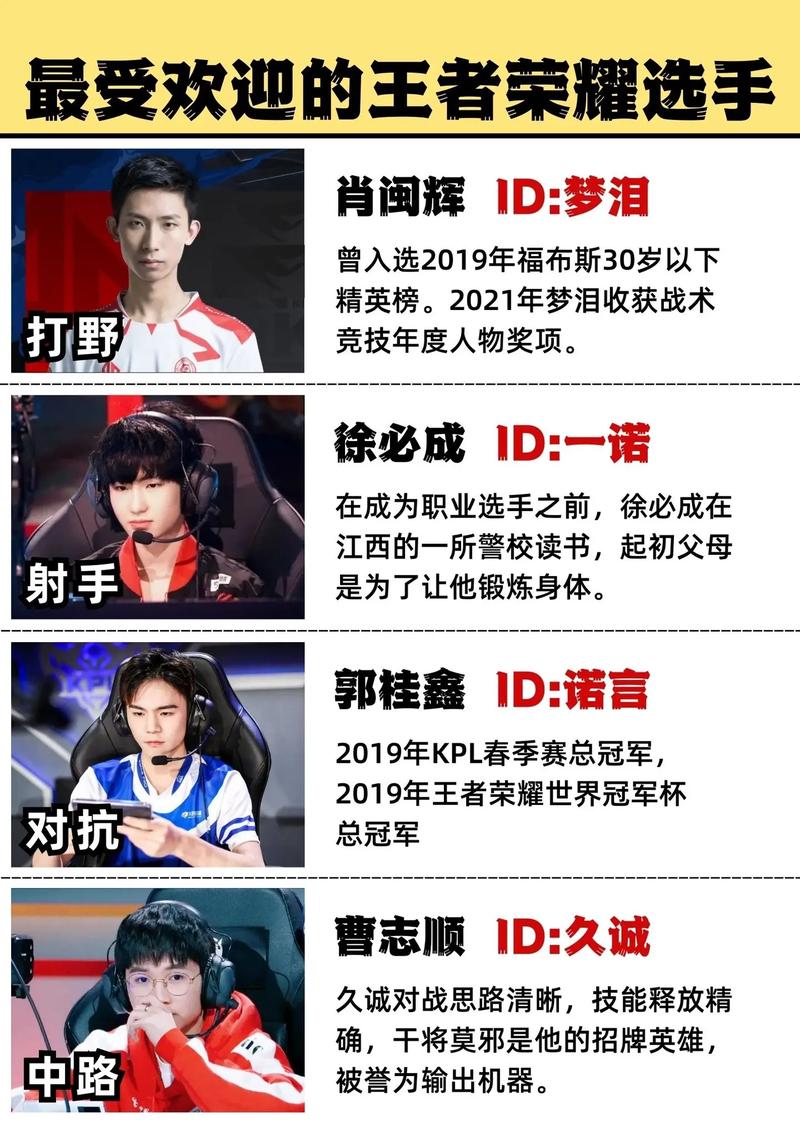 王者认证职业选手有什么用,王者荣耀职业选手认证申请-第5张图片-无暮网