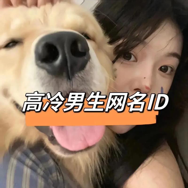 王者男生id温柔到极致,王者男生id温柔到极致-第4张图片-无暮网