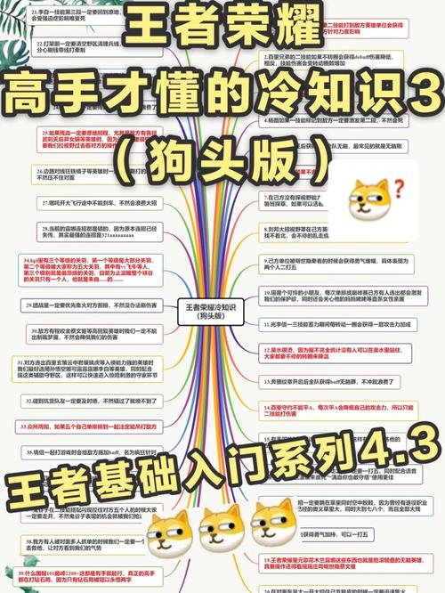 王者荣耀很少人知道的知识叫什么来着（科普王者荣耀知识）-第6张图片-无暮网