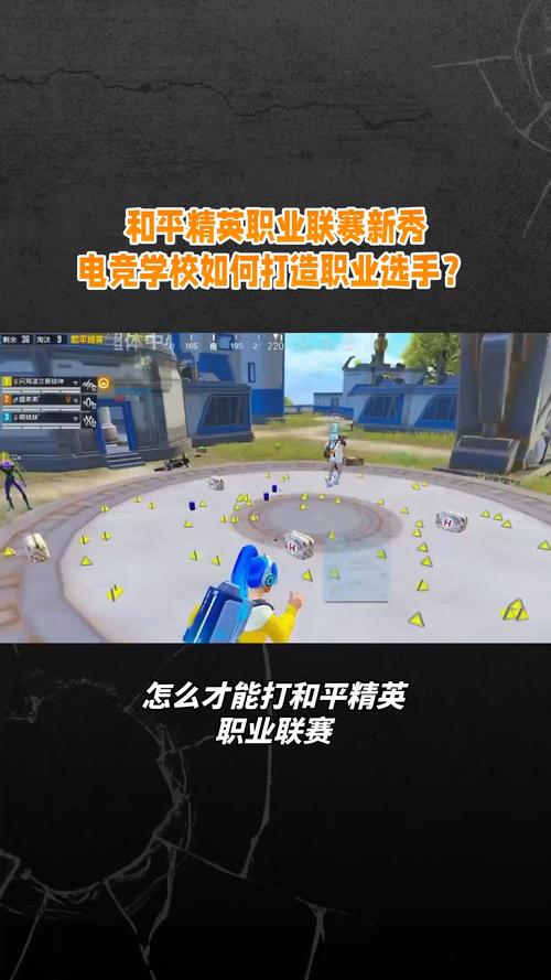 王者想打职业途径(王者荣耀想要打职业)-第6张图片-无暮网 王者想打职业途径(王者荣耀想要打职业)-第6张图片-无暮网