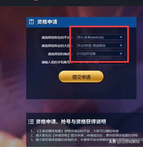 王者荣耀应聘简介,王者荣耀个人介绍