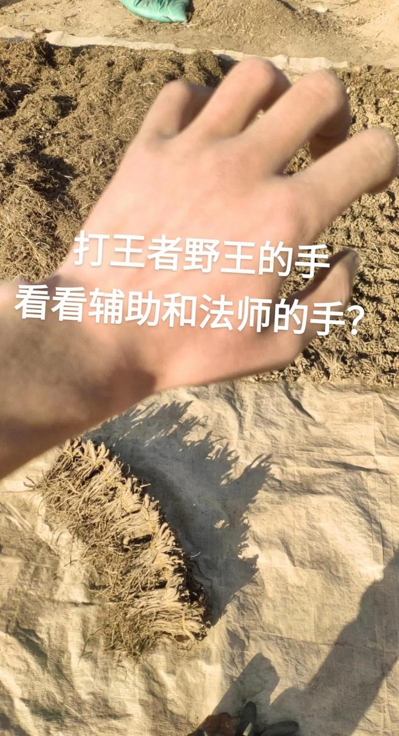 王者荣耀点赞旁边是什么意思,王者荣耀点赞旁边像火一样的图标-第1张图片-无暮网