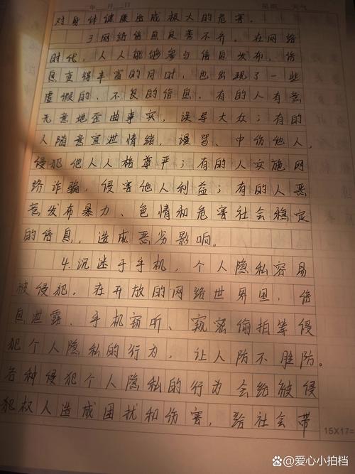 王者荣耀作文600字议论文,王者荣耀作文800字议论文-第3张图片-无暮网 王者荣耀作文600字议论文,王者荣耀作文800字议论文-第3张图片-无暮网