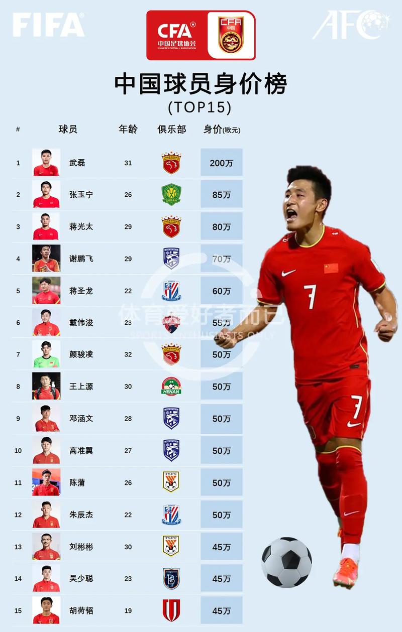 中超身价排名榜2019,中超身价排名榜2019年-第2张图片-无暮网 中超身价排名榜2019,中超身价排名榜2019年-第2张图片-无暮网