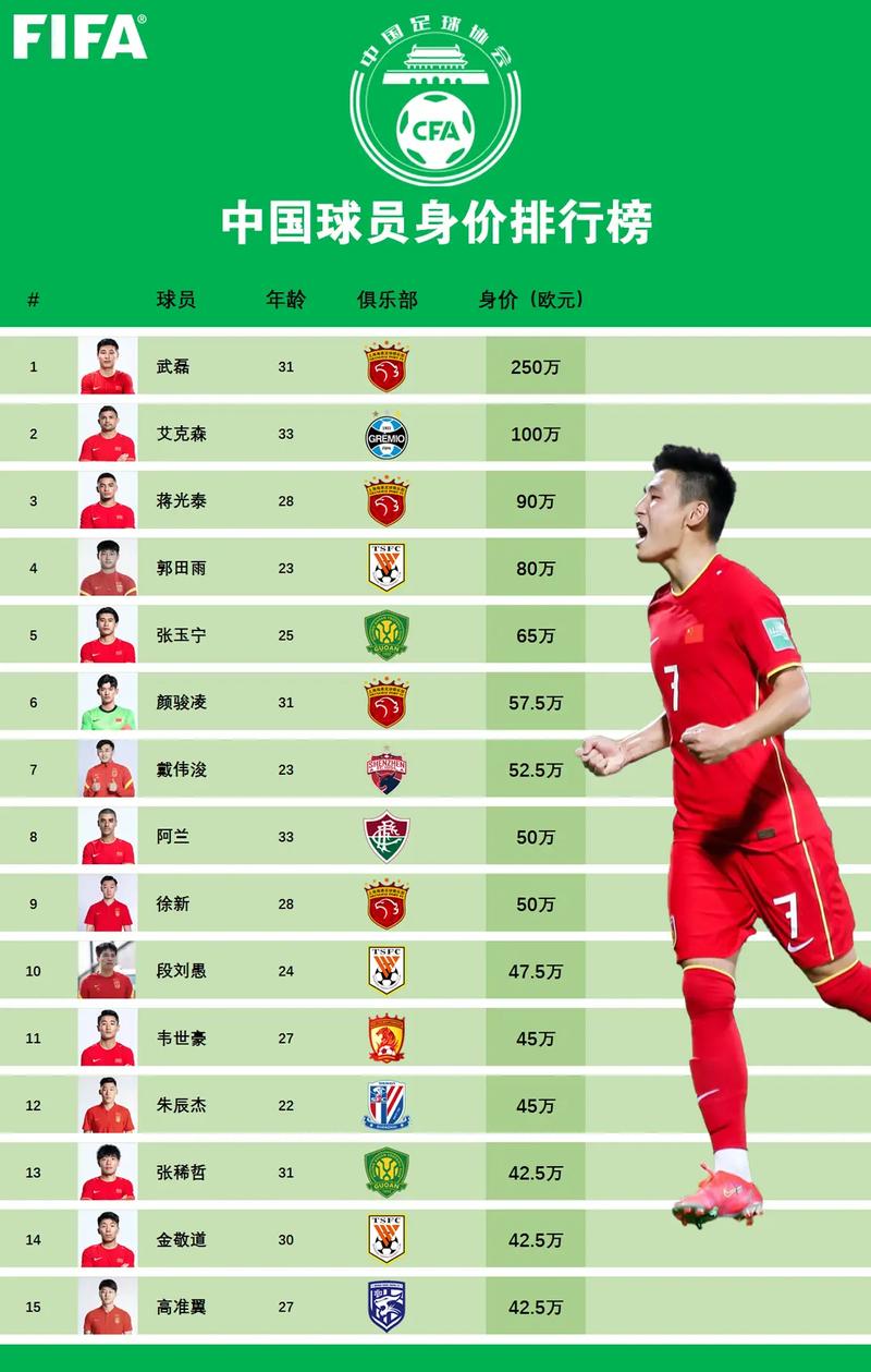 中超身价排名榜2019,中超身价排名榜2019年-第5张图片-无暮网 中超身价排名榜2019,中超身价排名榜2019年-第5张图片-无暮网