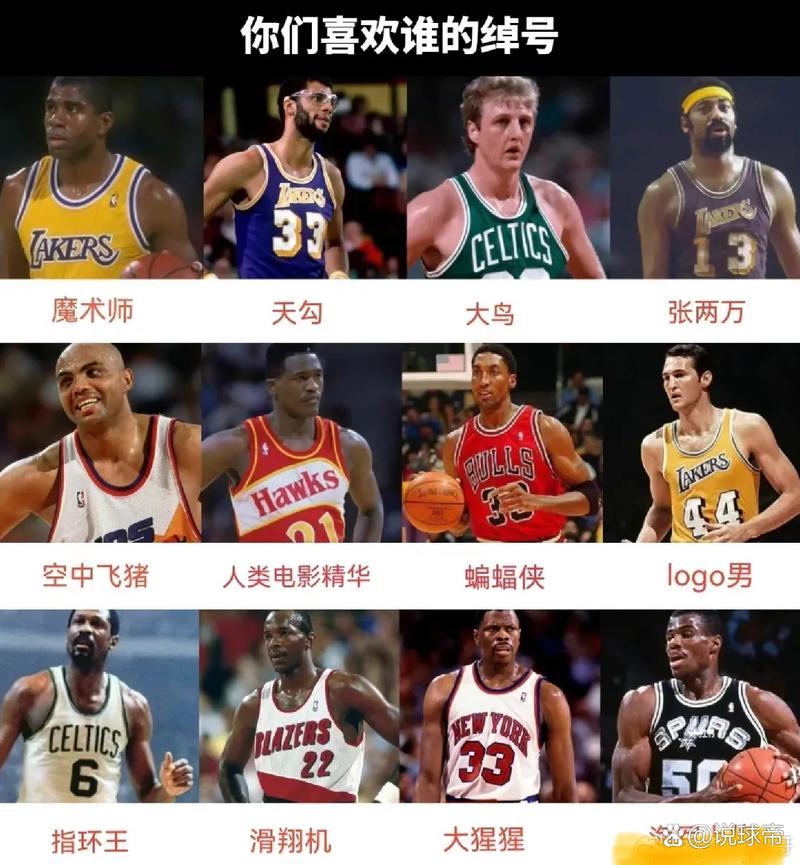 nba90年代指定用球（90年代nba规则）-第5张图片-无暮网