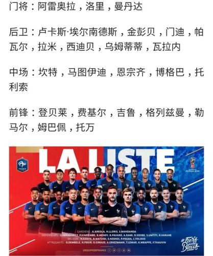 2014年法国队世界杯阵容（14年世界杯法国队主力）-第6张图片-无暮网